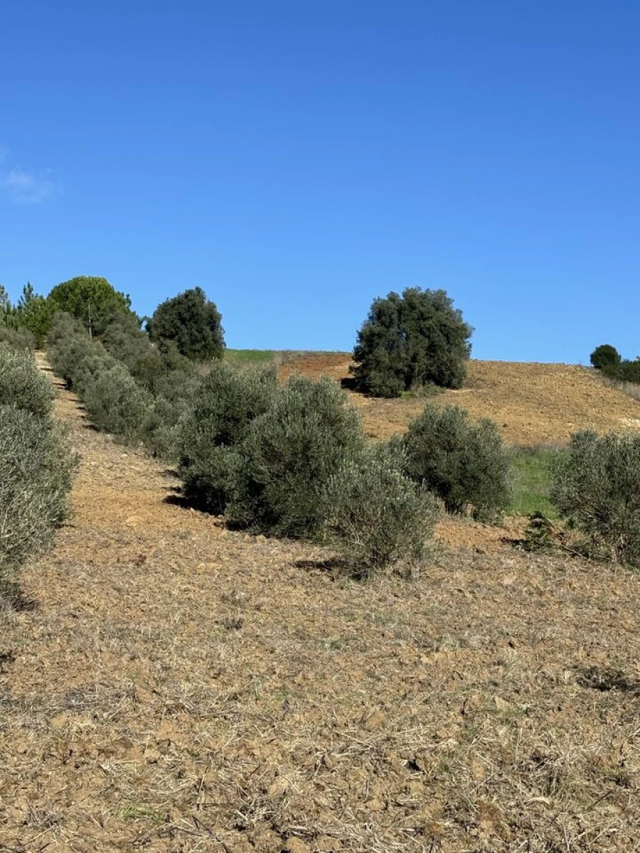 Terreno para Venda em Outeiro da Cortiçada e Arruda dos Pisões Foto 4