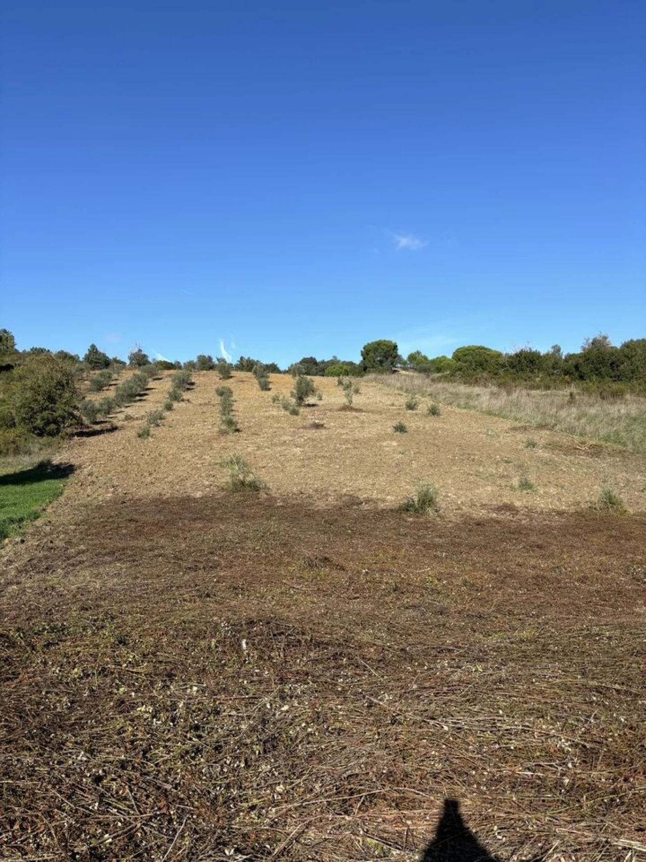 Terreno para Venda em Outeiro da Cortiçada e Arruda dos Pisões Foto 3