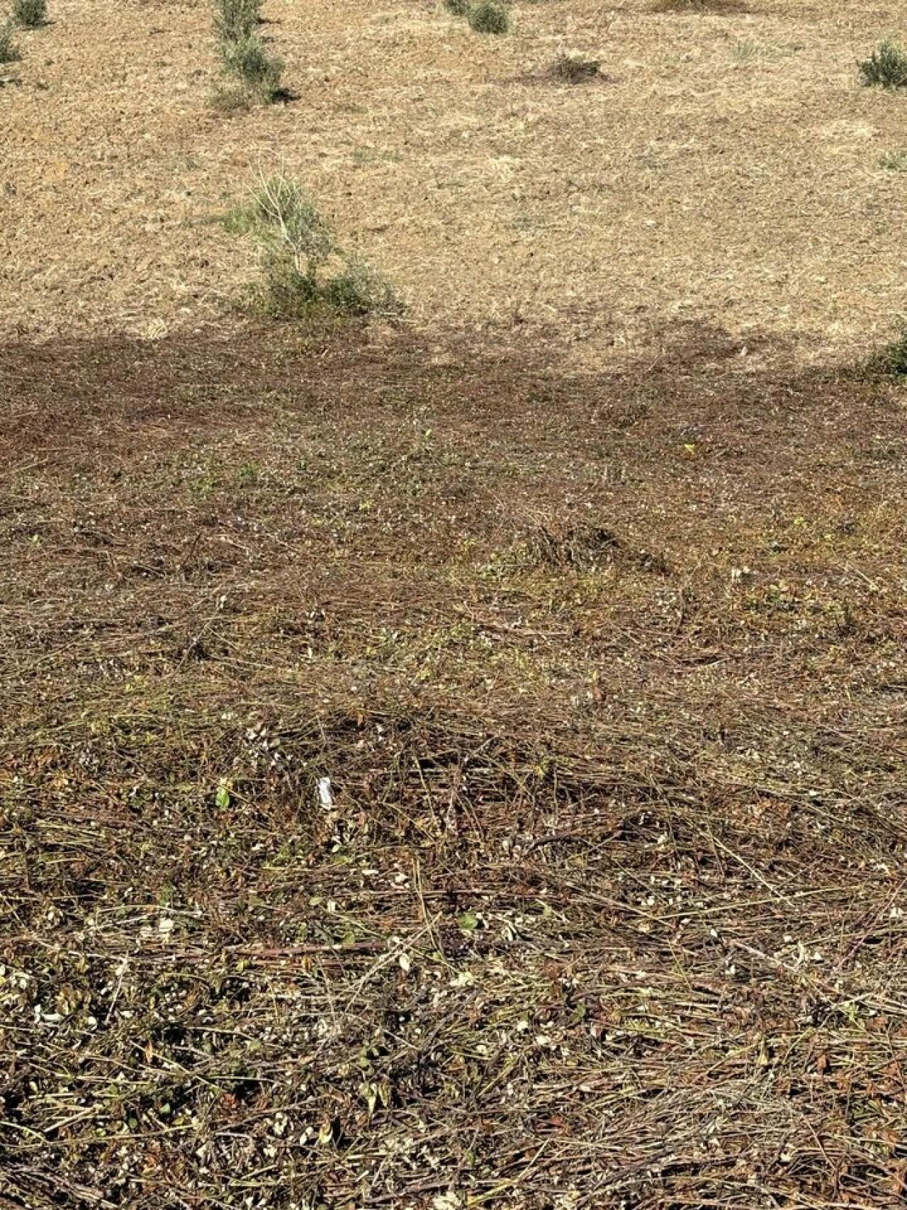 Terreno para Venda em Outeiro da Cortiçada e Arruda dos Pisões Foto 4