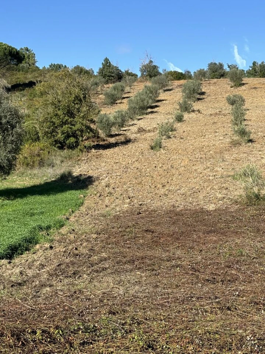 Terreno para Venda em Outeiro da Cortiçada e Arruda dos Pisões Foto 1