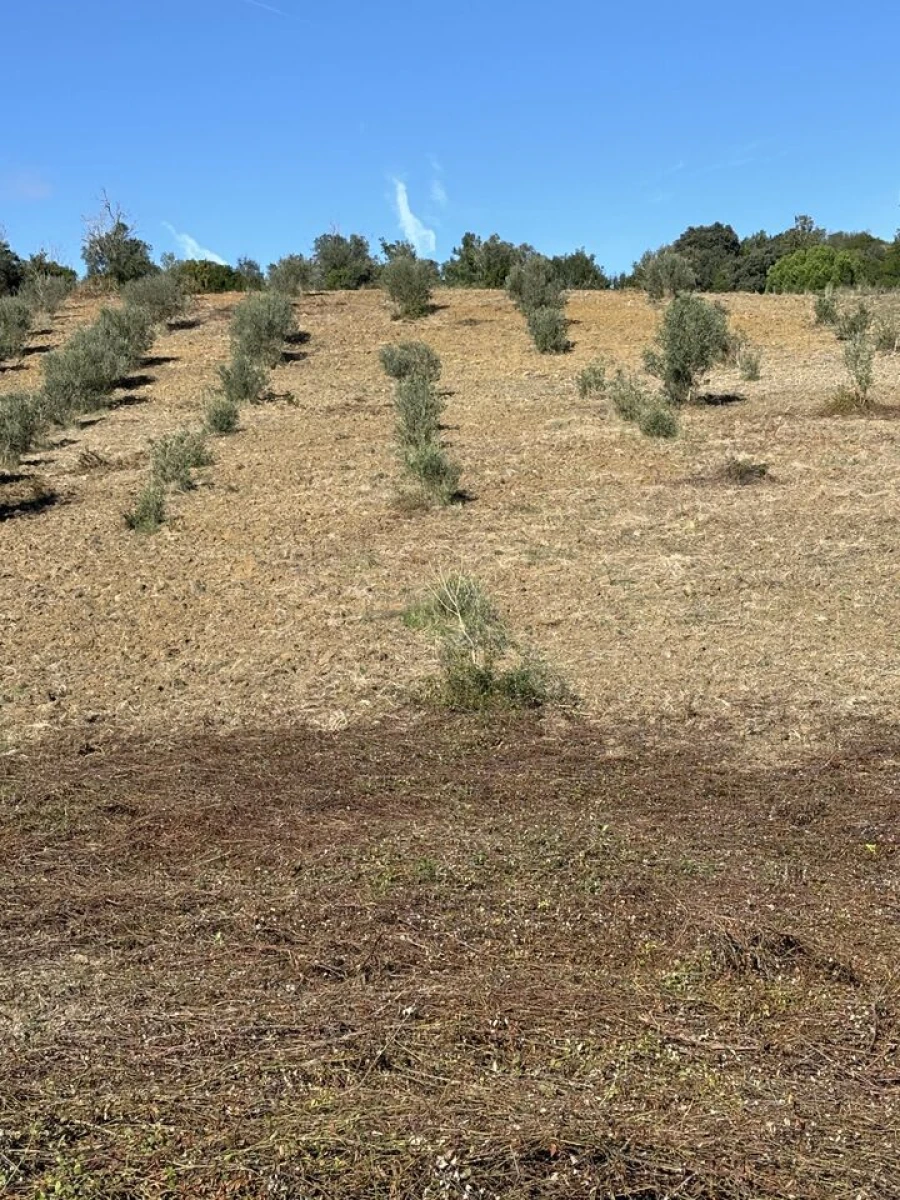 Terreno para Venda em Outeiro da Cortiçada e Arruda dos Pisões Foto 2
