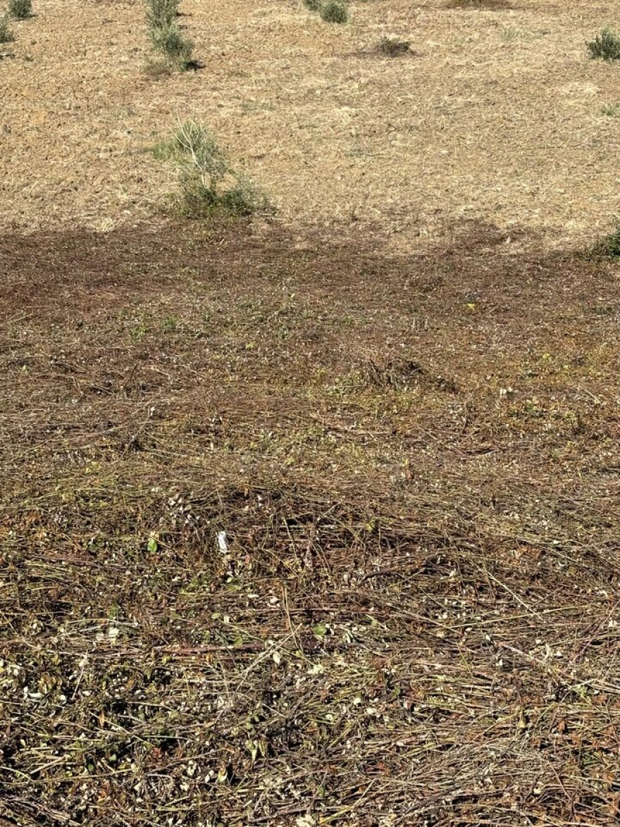 Terreno para Venda em Outeiro da Cortiçada e Arruda dos Pisões Foto 4