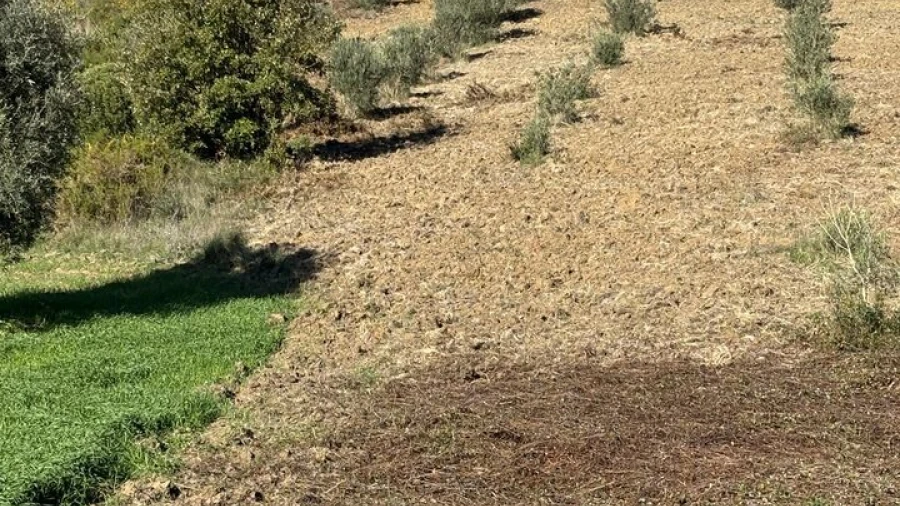 Terreno para Venda em Outeiro da Cortiçada e Arruda dos Pisões
