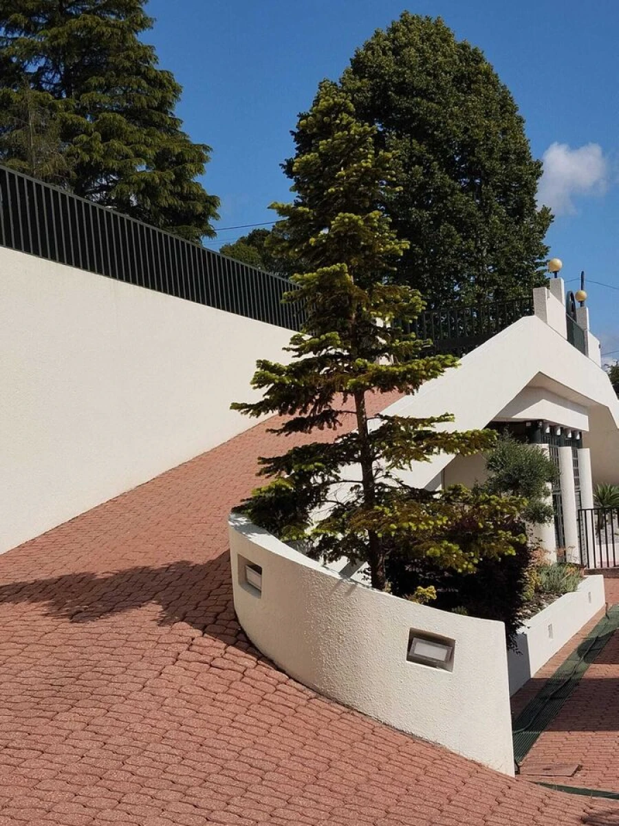 Moradia T4 para Venda em Foz do Sousa e Covelo Foto 13