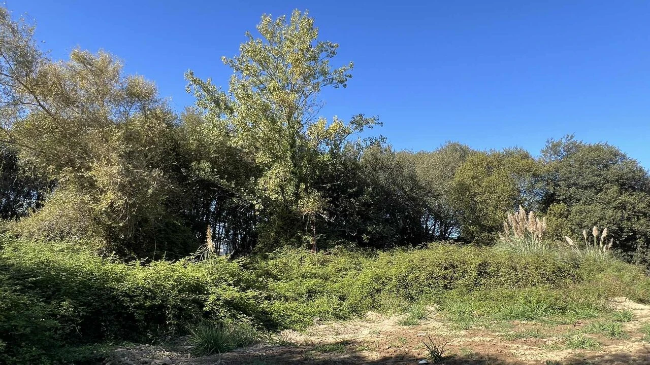 Terreno para Venda em Serzedo e Perosinho Foto 1