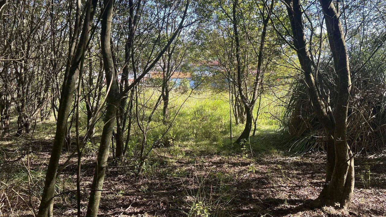 Terreno para Venda em Serzedo e Perosinho Foto 3