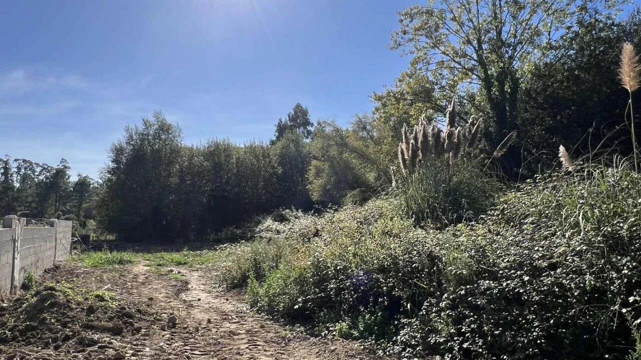 Terreno para Venda em Serzedo e Perosinho Foto 5