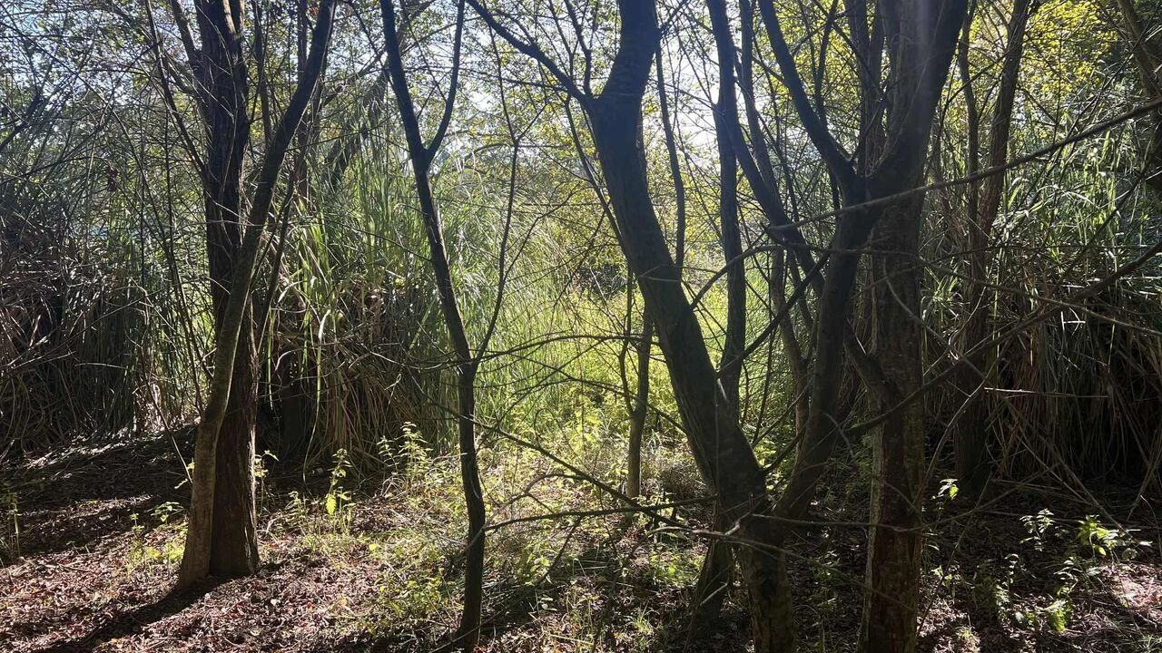 Terreno para Venda em Serzedo e Perosinho Foto 7