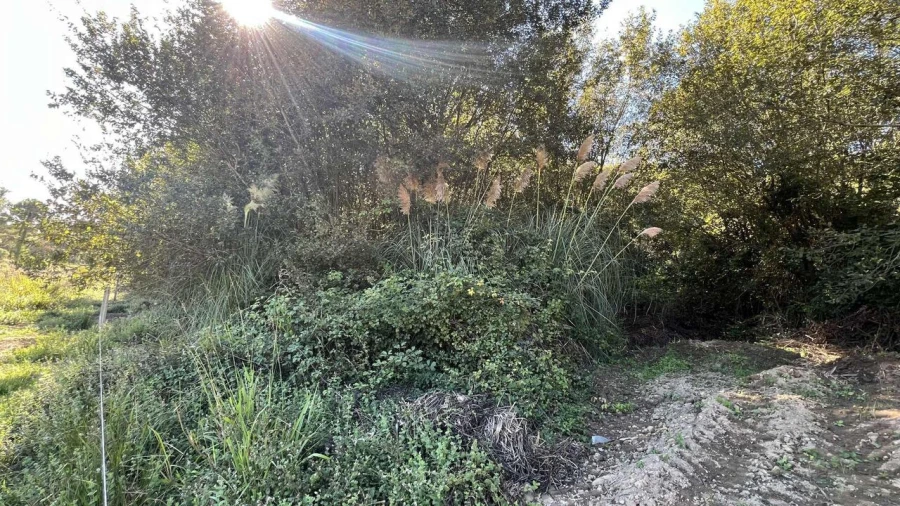 Terreno para Venda em Serzedo e Perosinho Foto 6