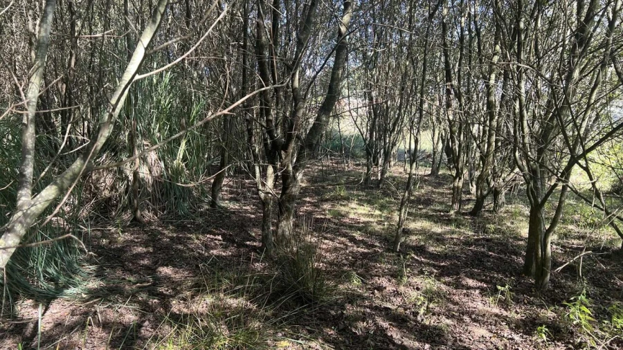 Terreno para Venda em Serzedo e Perosinho Foto 8