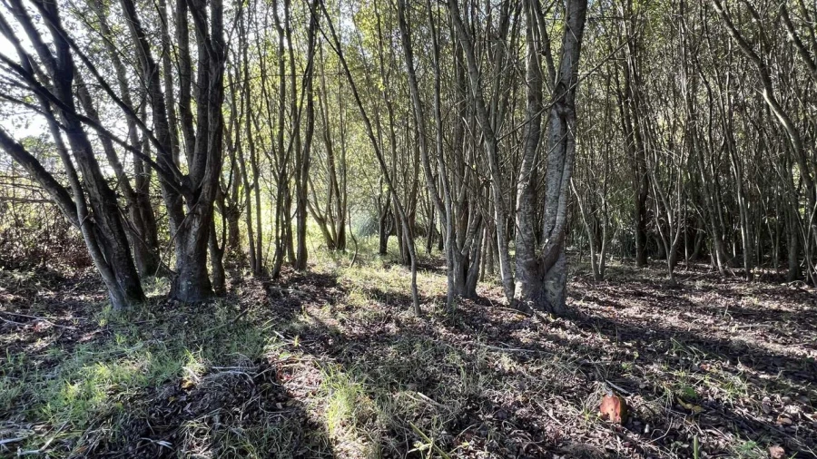 Terreno para Venda em Serzedo e Perosinho Foto 10