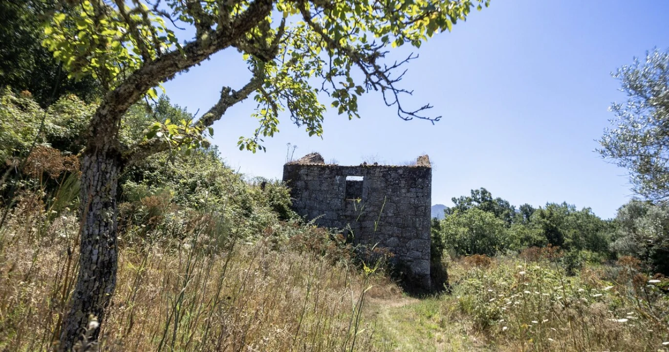 Moradia T6 para Venda em Melo e Nabais Foto 12