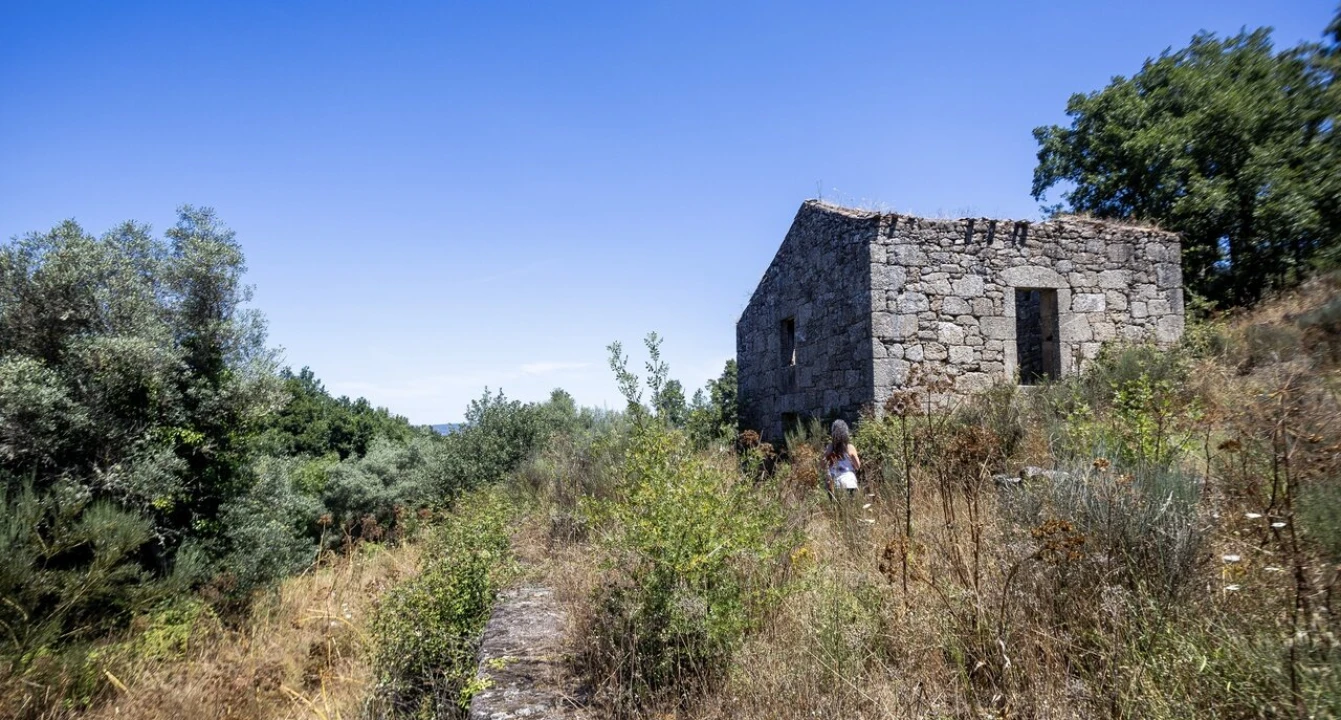 Moradia T6 para Venda em Melo e Nabais Foto 2