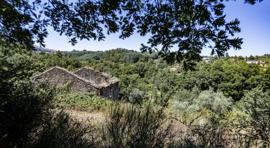 Moradia T6 para Venda em Melo e Nabais Foto 16