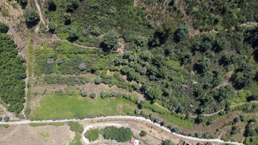 Moradia T6 para Venda em Melo e Nabais Foto 18