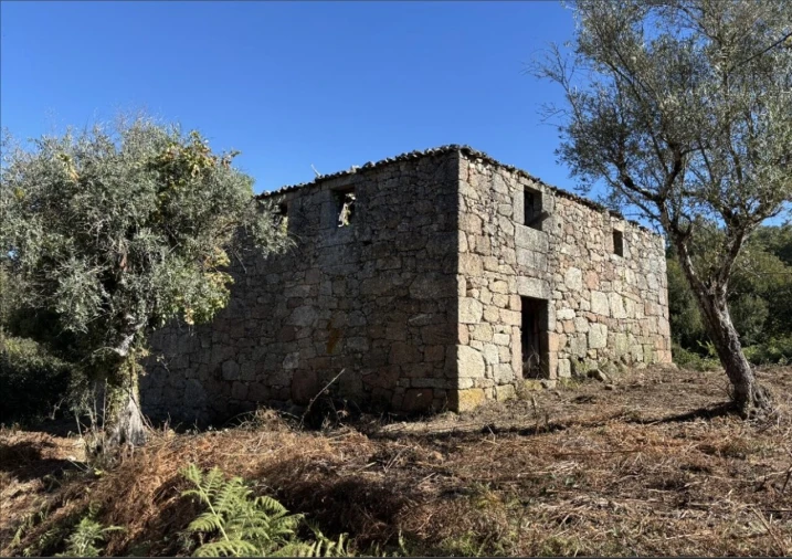 Moradia T6 para Venda em Melo e Nabais Foto 5