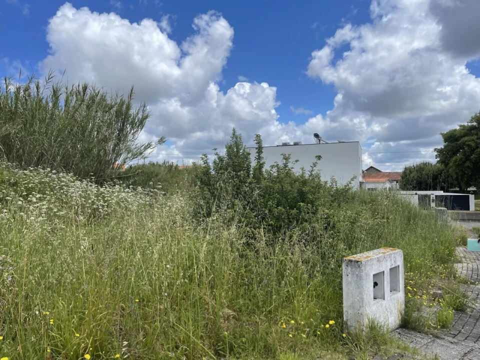 Terreno para Venda em Marrazes e Barosa Foto 2