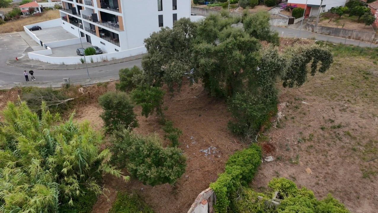 Terreno para Venda em Marrazes e Barosa Foto 10
