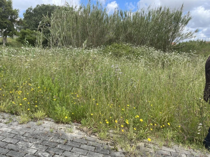 Terreno para Venda em Marrazes e Barosa Foto 3