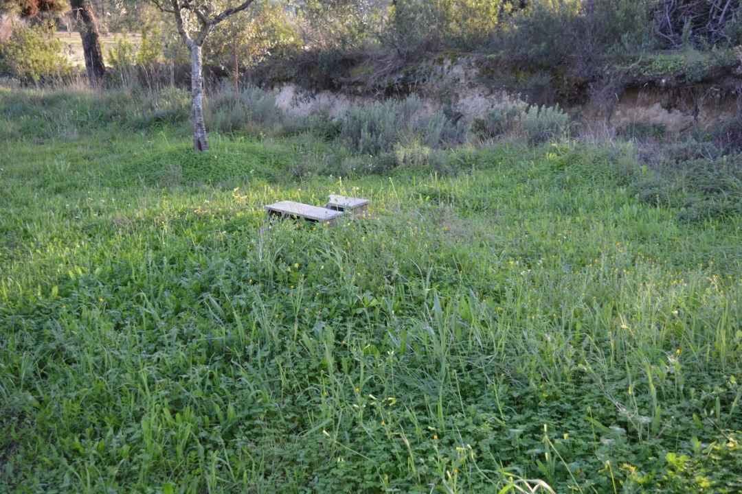 Quinta T3 para Venda em Vale de Prazeres e Mata da Rainha Foto 18