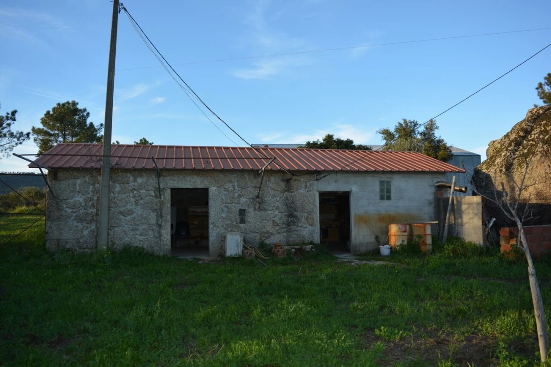 Quinta T3 para Venda em Vale de Prazeres e Mata da Rainha Foto 21
