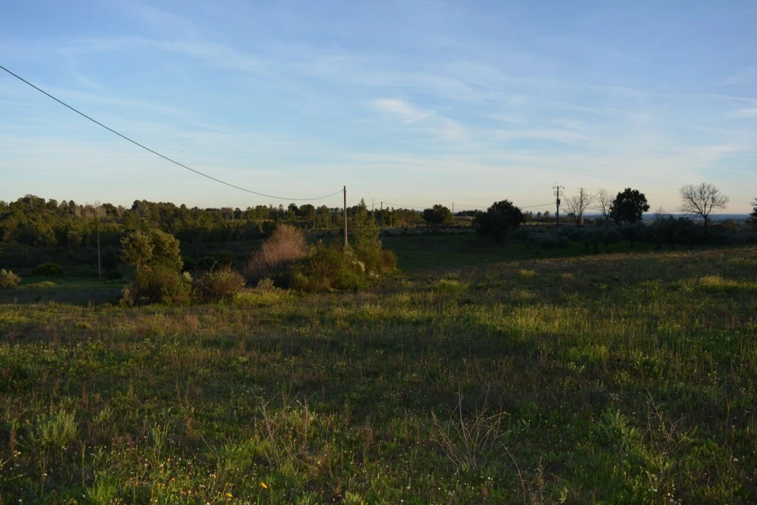 Quinta T3 para Venda em Vale de Prazeres e Mata da Rainha Foto 23
