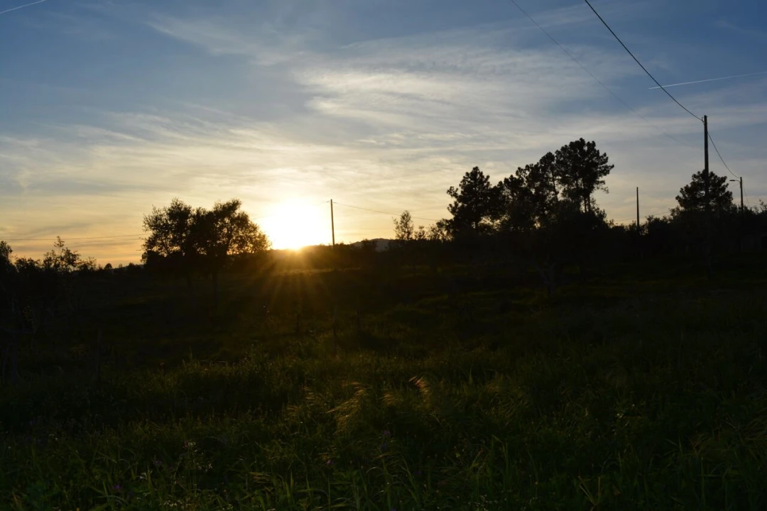 Quinta T3 para Venda em Vale de Prazeres e Mata da Rainha Foto 38