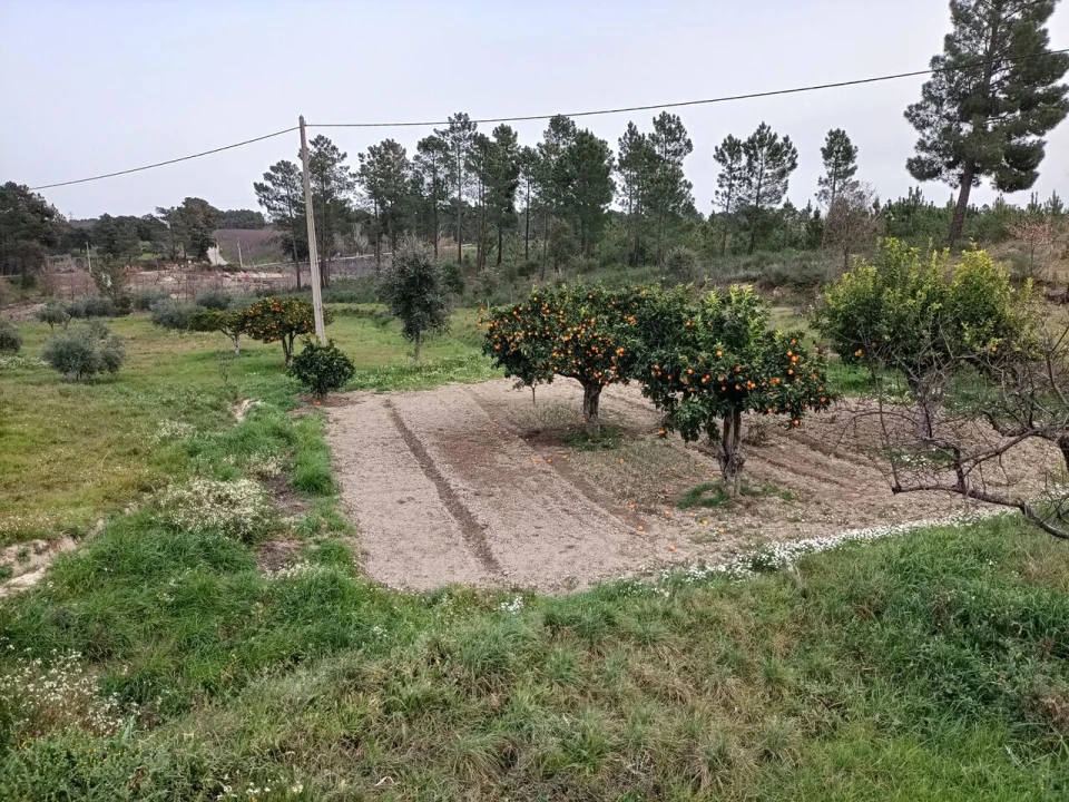 Quinta T3 para Venda em Vale de Prazeres e Mata da Rainha Foto 37
