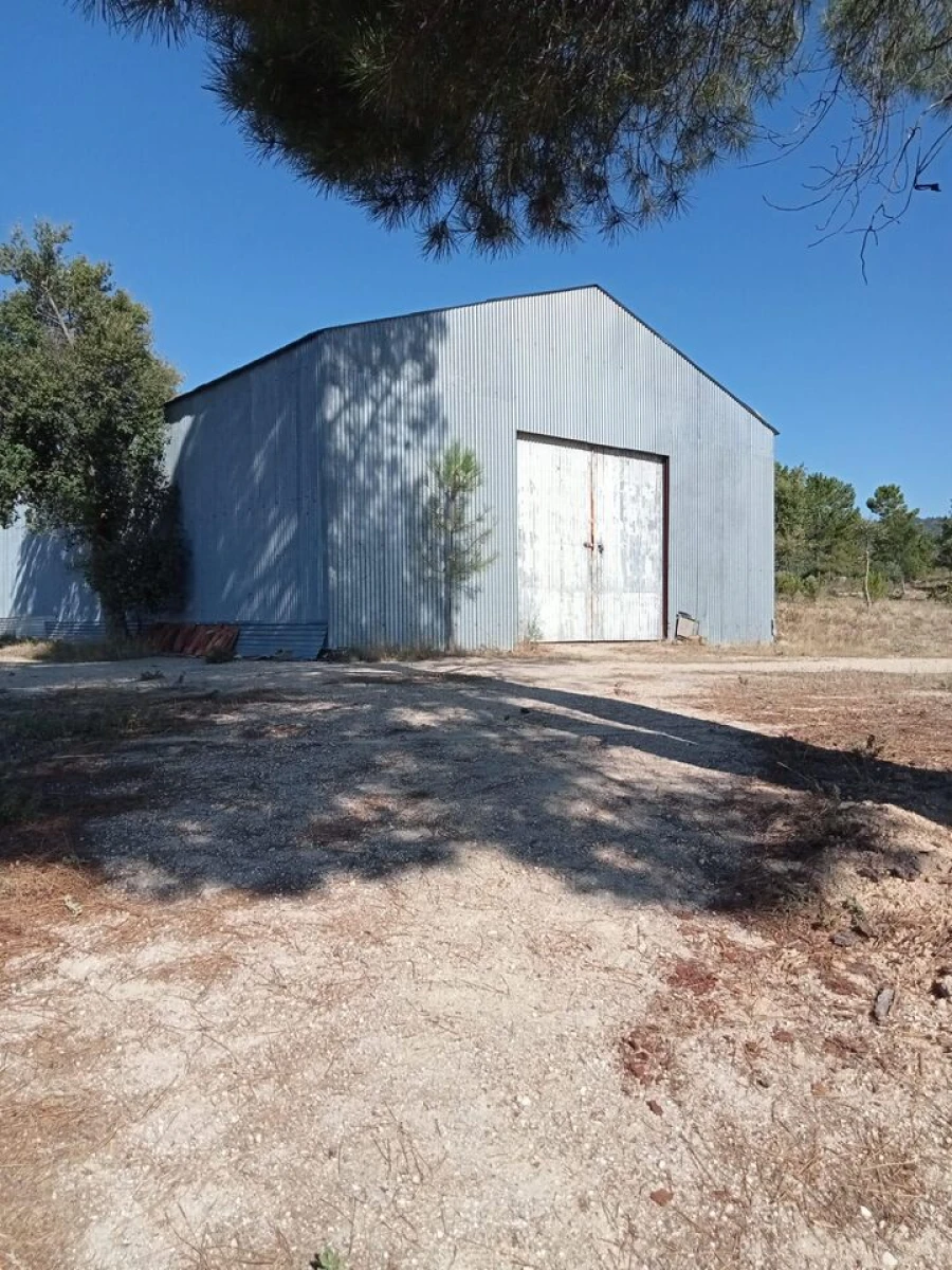 Quinta T3 para Venda em Vale de Prazeres e Mata da Rainha Foto 13