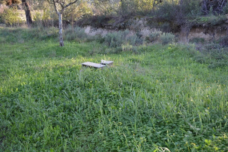 Quinta T3 para Venda em Vale de Prazeres e Mata da Rainha Foto 18
