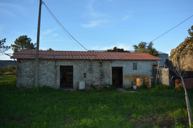 Quinta T3 para Venda em Vale de Prazeres e Mata da Rainha Foto 21