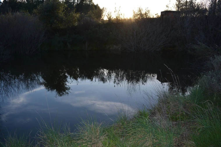 Quinta T3 para Venda em Vale de Prazeres e Mata da Rainha Foto 25