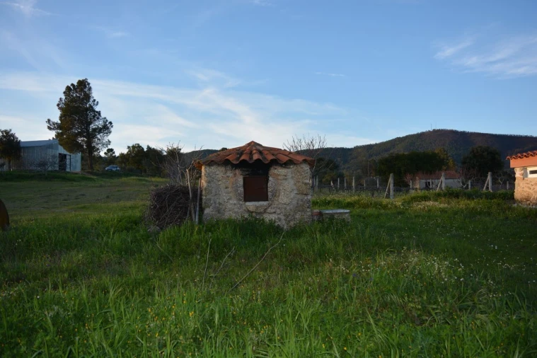 Quinta T3 para Venda em Vale de Prazeres e Mata da Rainha Foto 32