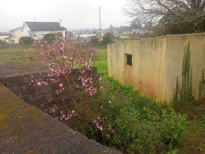 Moradia T2 para Venda em Campos e Vila Meã Foto 5