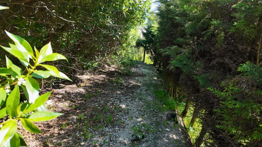 Terreno para Venda em Charneca de Caparica e Sobreda Foto 11