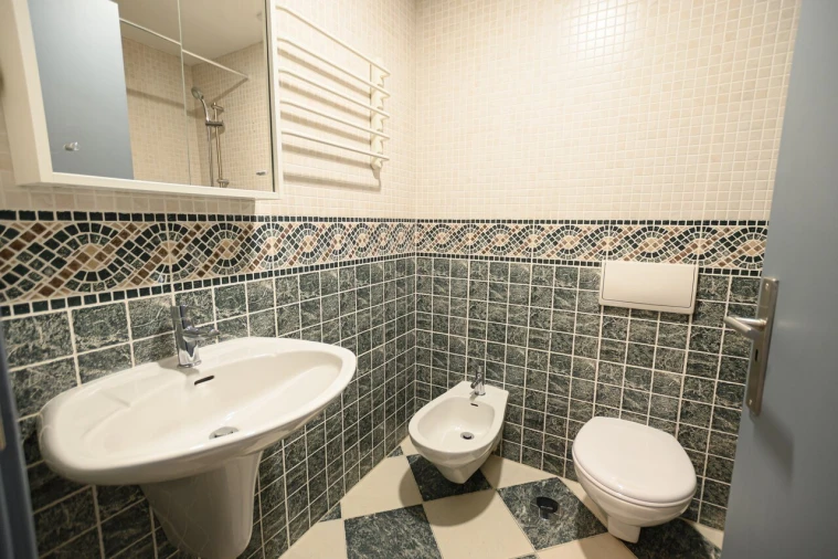 Apartamento T3 para Venda em Ovar, São João, Arada e São Vicente de Pereira Jusã Foto 15