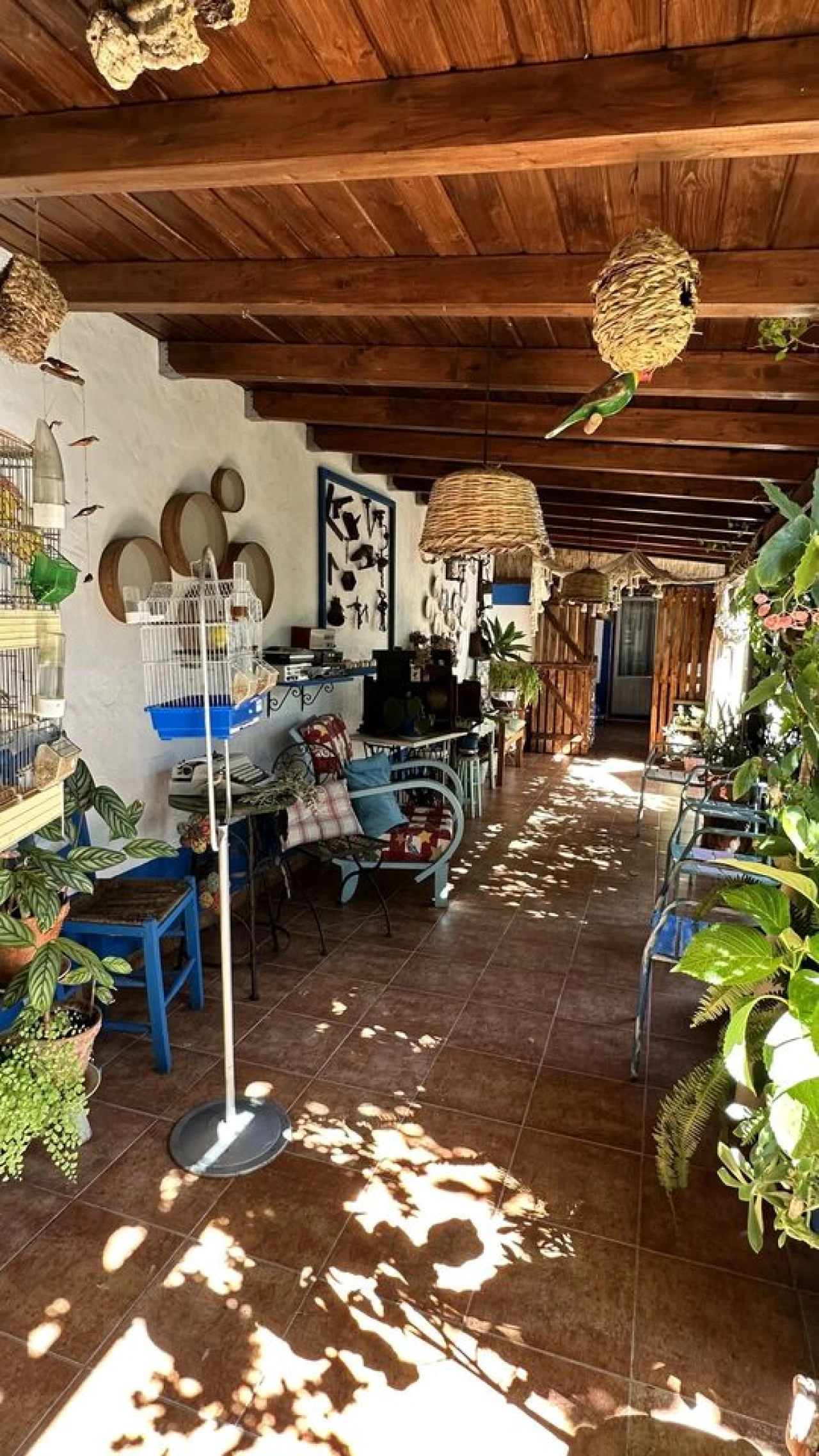 Moradia T2 para Venda em Grândola e Santa Margarida da Serra Foto 30