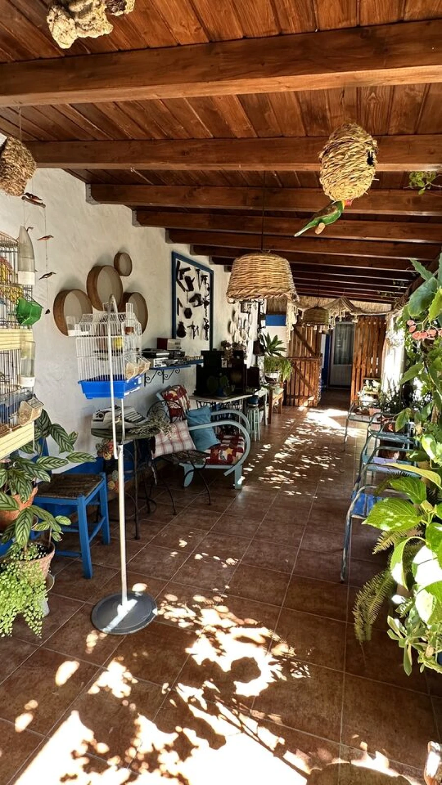 Moradia T2 para Venda em Grândola e Santa Margarida da Serra Foto 30