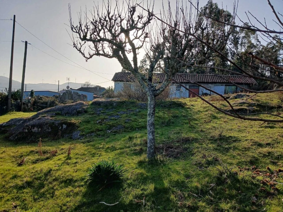 Moradia T2 para Venda em Troporiz e Lapela Foto 5