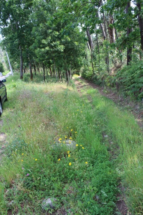 Terreno para Venda em Mazedo e Cortes