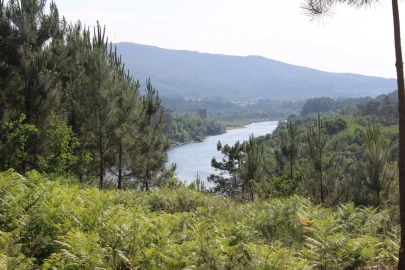 Terreno para Venda em Mazedo e Cortes