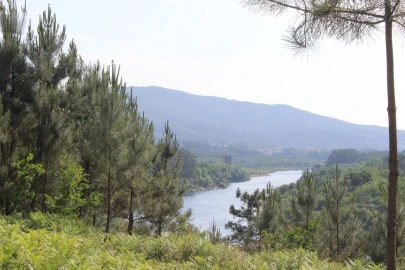 Terreno para Venda em Mazedo e Cortes