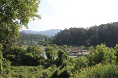 Terreno para Venda em Mazedo e Cortes