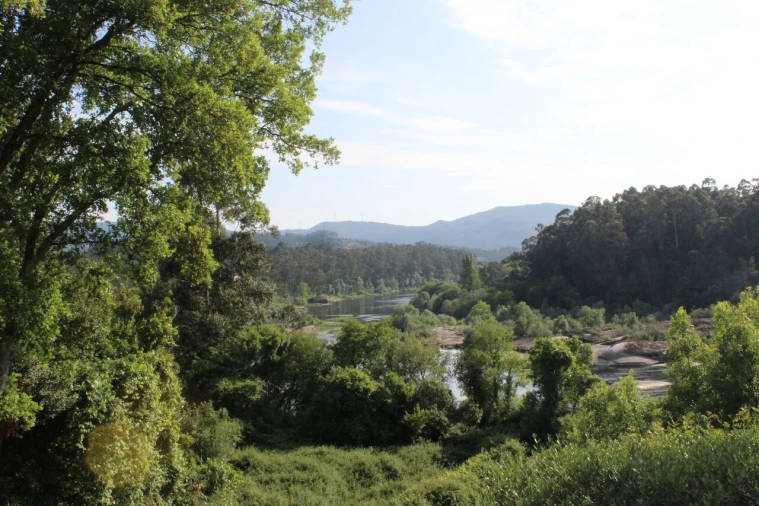 Terreno para Venda em Mazedo e Cortes Foto 10