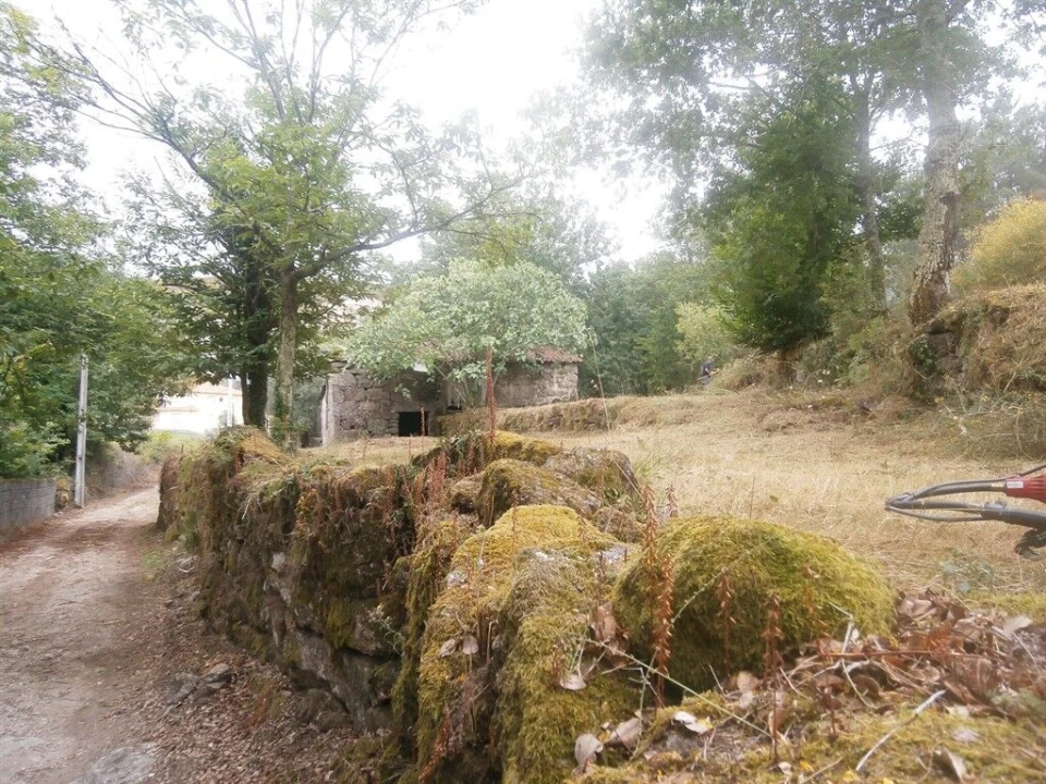 Quinta T3 para Venda em Verim, Friande e Ajude Foto 2