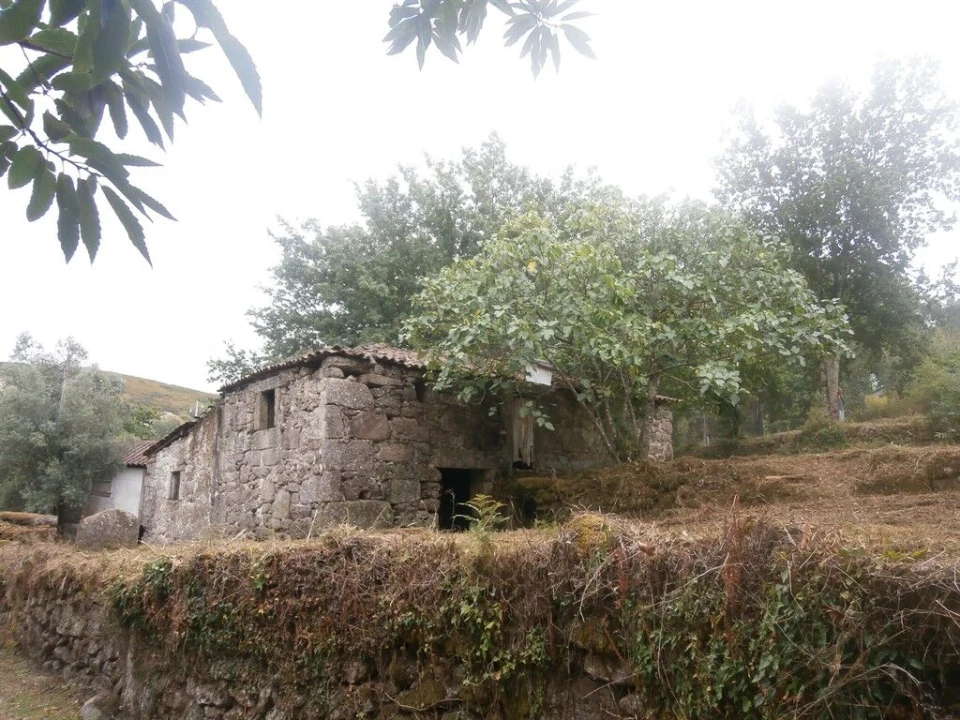Quinta T3 para Venda em Verim, Friande e Ajude Foto 3
