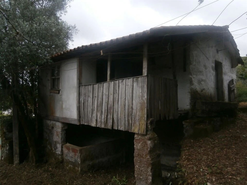 Quinta T3 para Venda em Verim, Friande e Ajude Foto 4