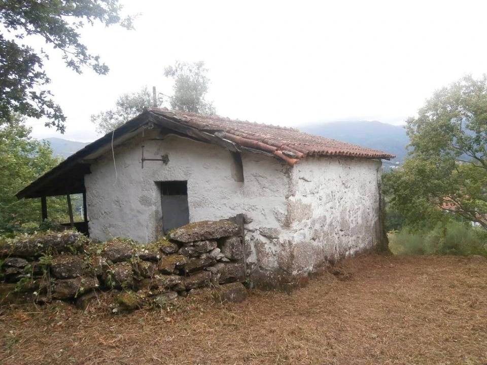 Quinta T3 para Venda em Verim, Friande e Ajude Foto 5