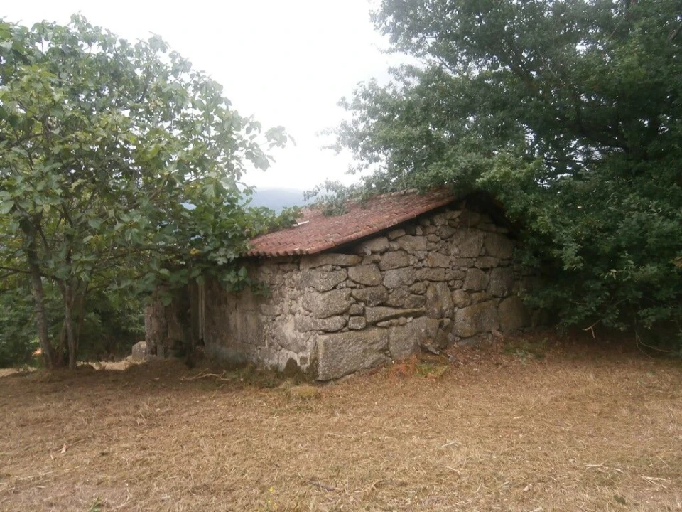 Quinta T3 para Venda em Verim, Friande e Ajude Foto 6