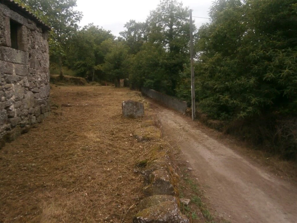 Quinta T3 para Venda em Verim, Friande e Ajude Foto 12
